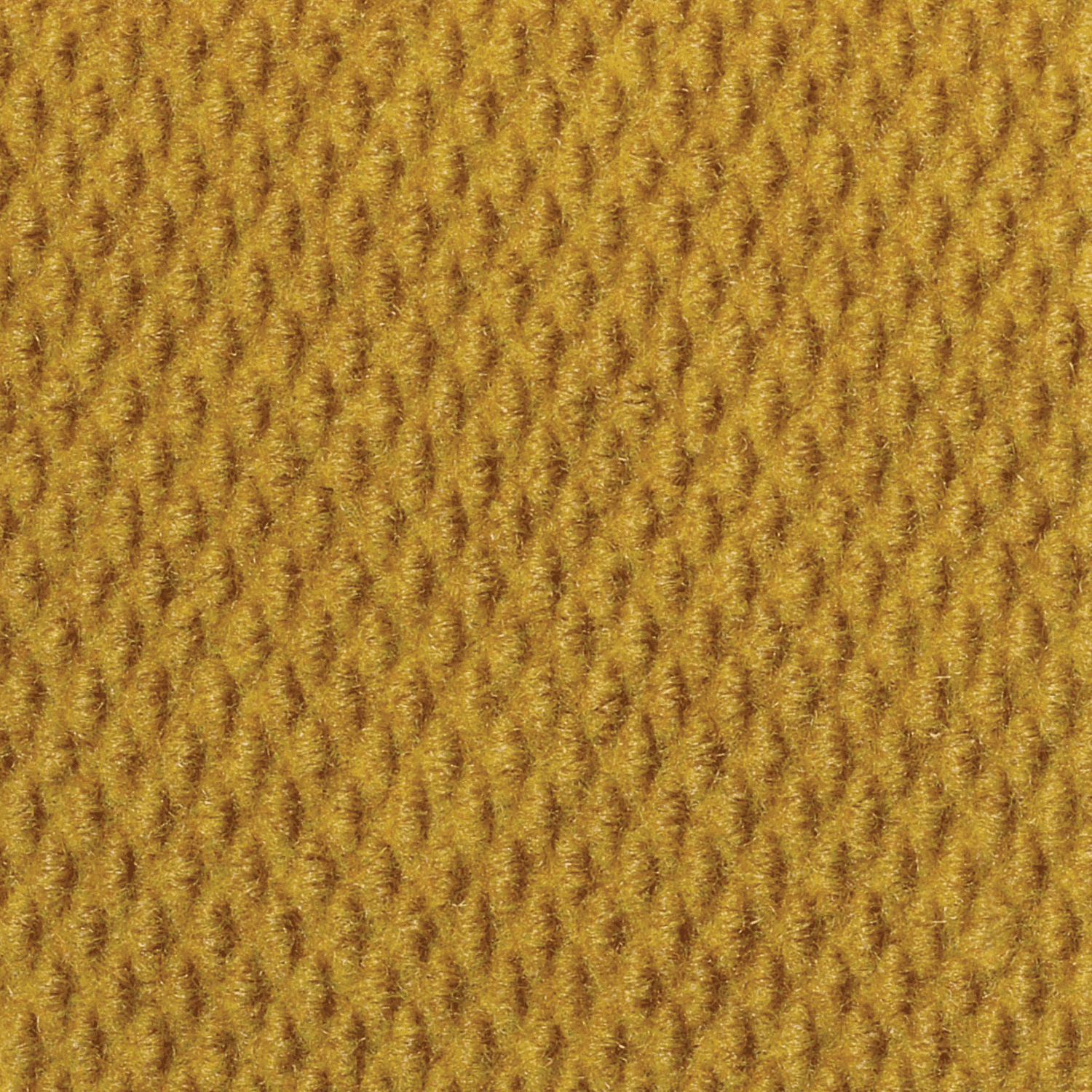 Entrance Impressions — Goldfinch 647