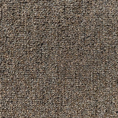 Level Loop 2.0 — 811 Pecan