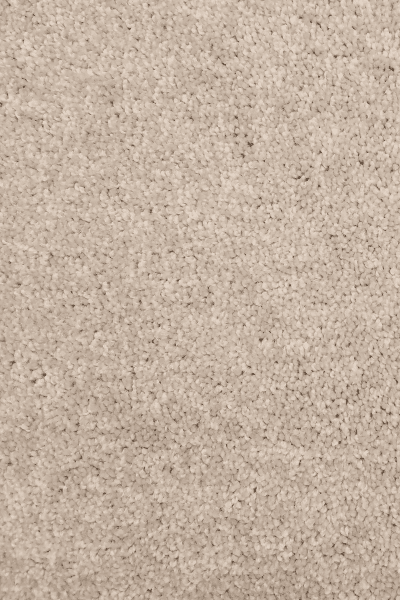 Paramount — 00116 Sand Dollar