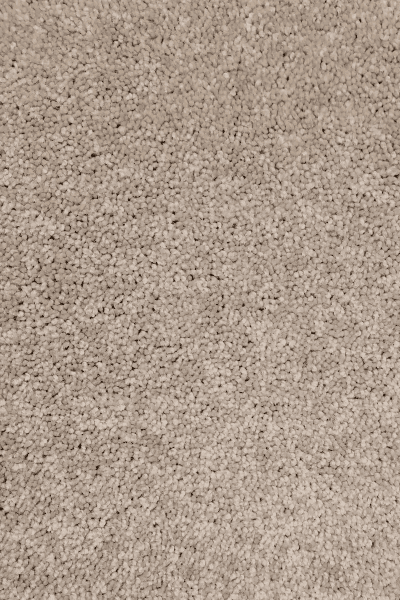 Paramount — 00131 Antique Silk