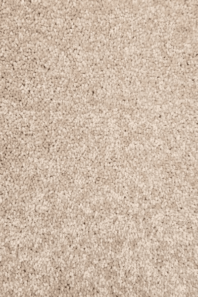 Paramount — 00230 Casual Cream