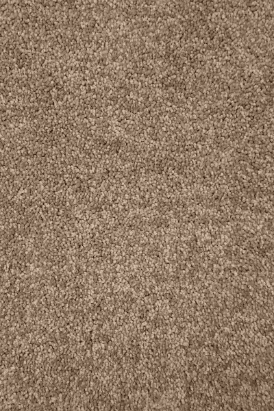 Paramount — 00731 Suede