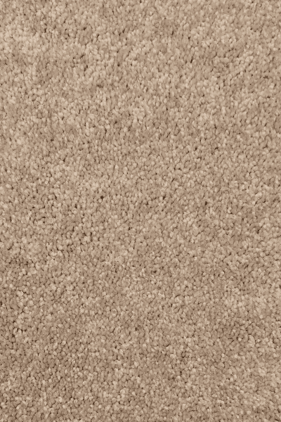 Paramount — 00761 Fossil