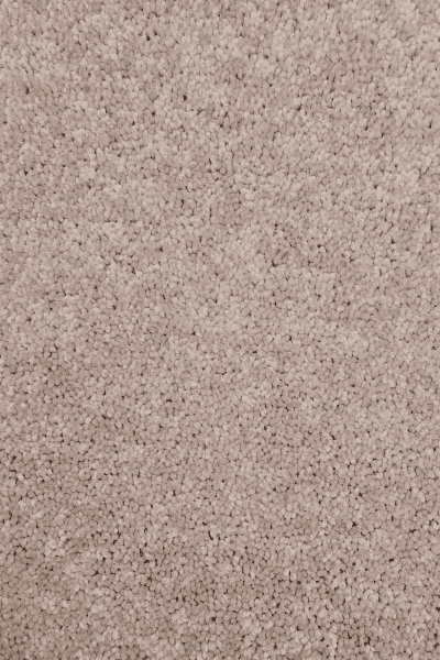 Paramount — 55752 Plaster