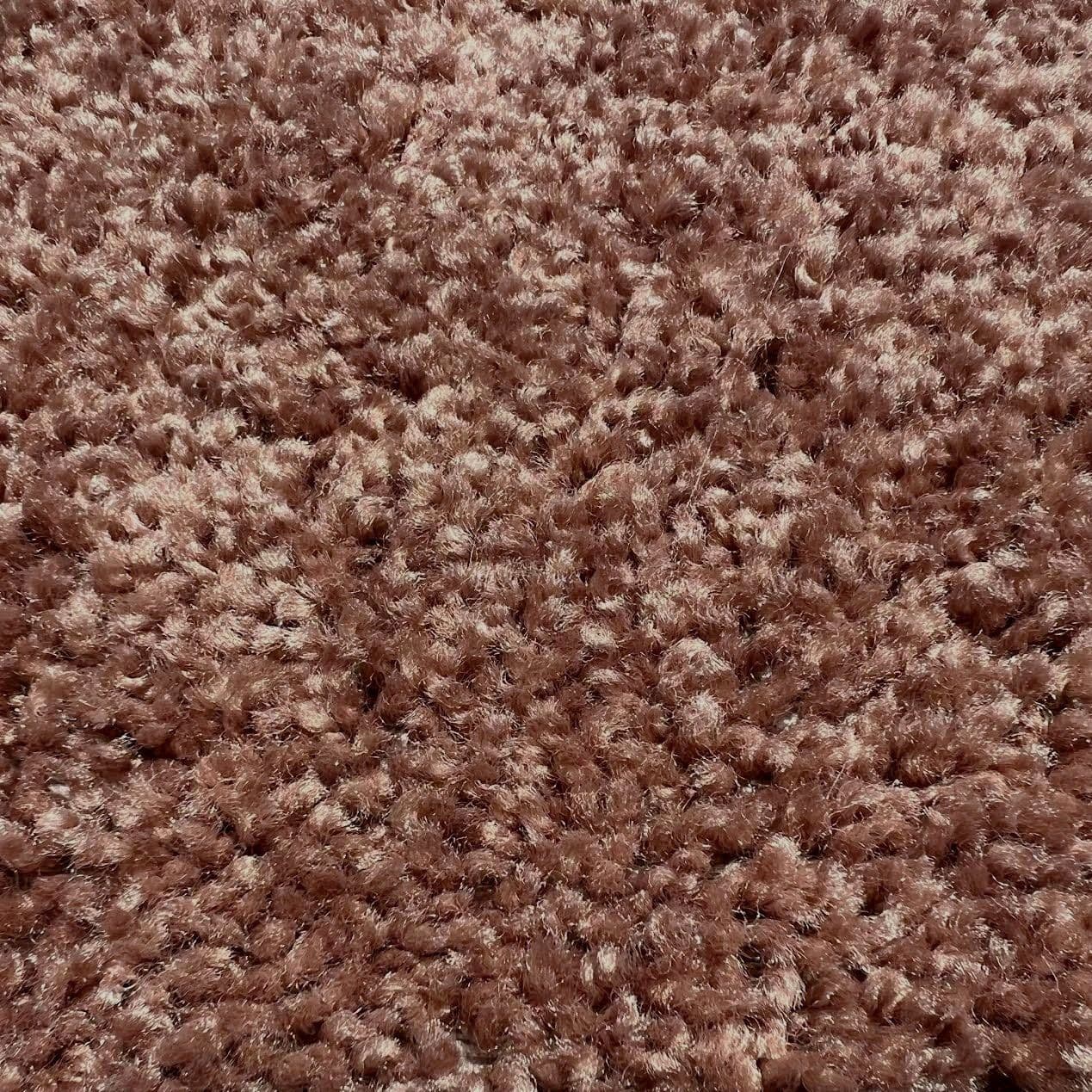 Paramount — 55791 Winter Wheat