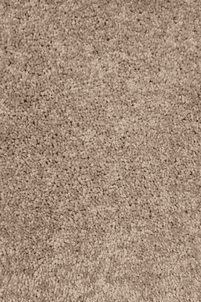 Paramount — 55792 Taupe Mist