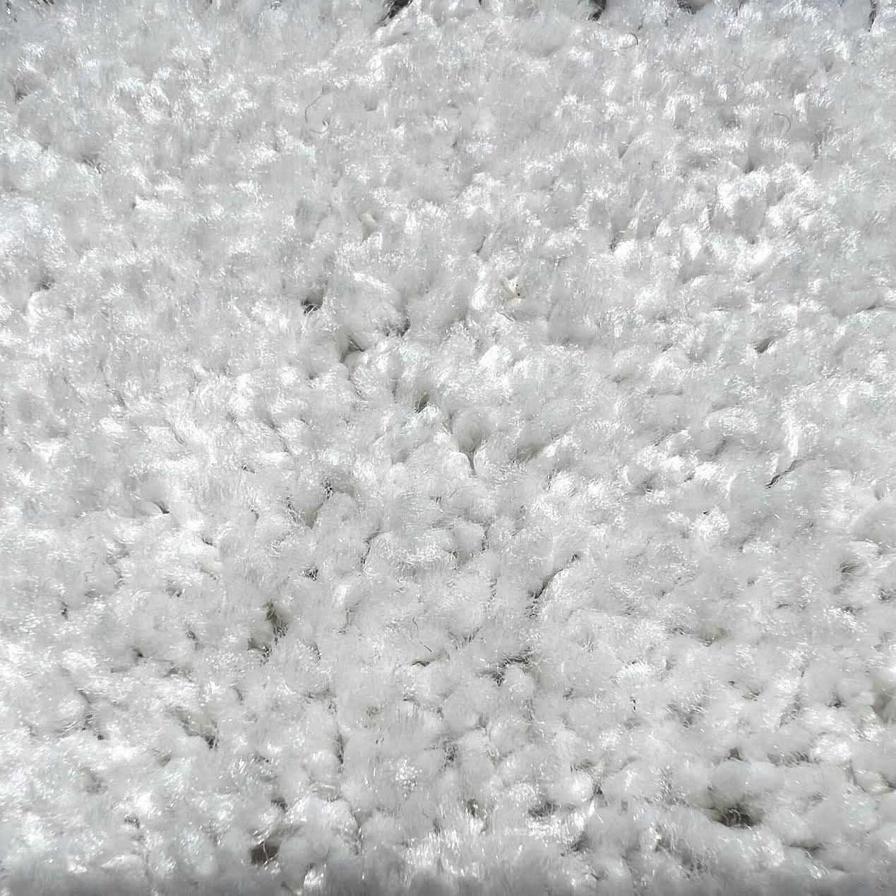 Regal — Snow