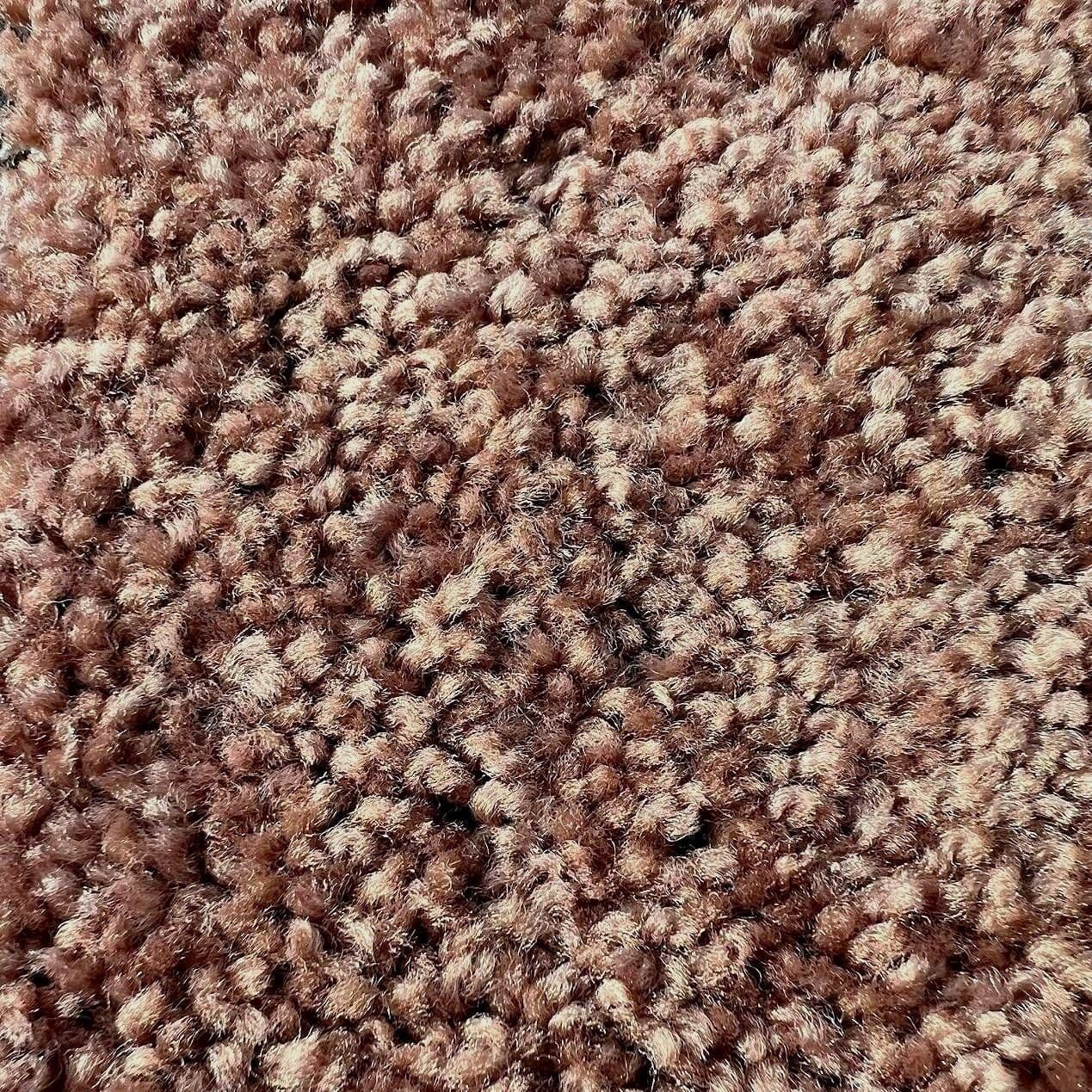 Regal — Winter Wheat