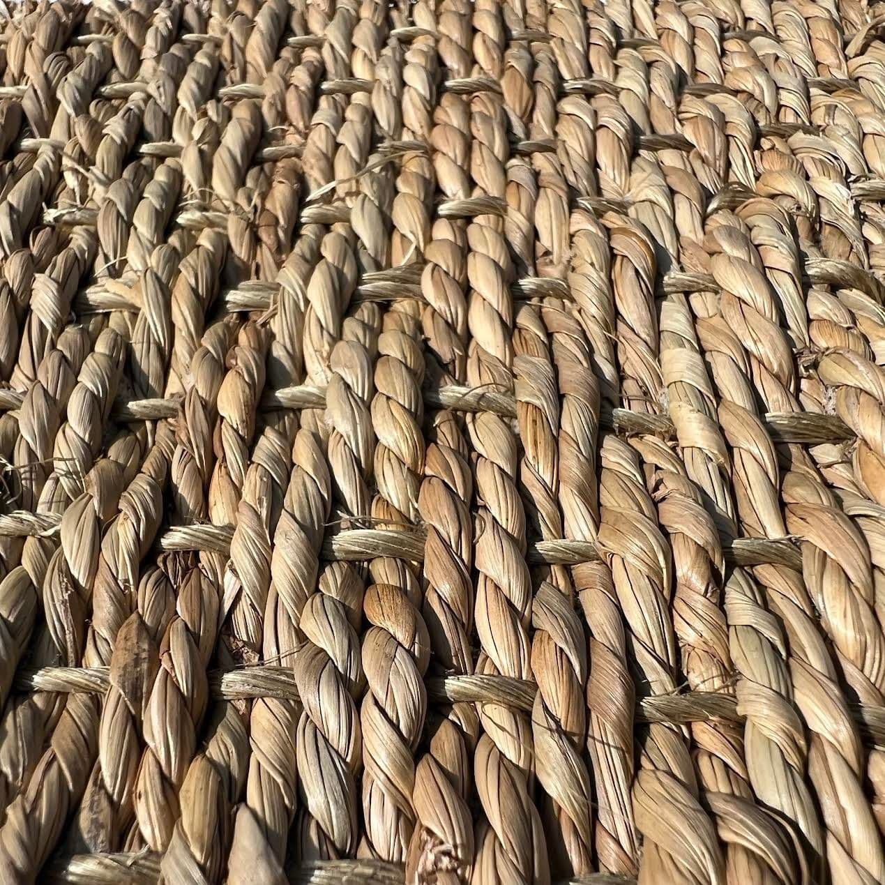 Seagrass